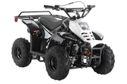 Mikro 110