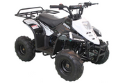 Hawk 110